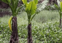 男子野外取景，整理照片时发现不对劲，放大仔细一瞧好在没事