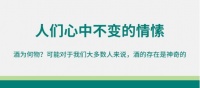 酒文化：人们心中不变的情愫