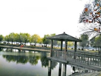 散文诗：谁不曾在季节里惆怅