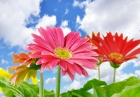 人生鲜有坦途，得失总是无序