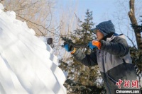 《同生命共抗疫》夺冠第21届黑龙江省雪雕比赛