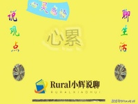 心灵感悟——心累