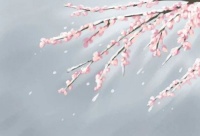 经典音乐：全套《斯卡布罗集市》终于收集全了！天籁之音，美醉人心！