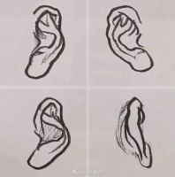 人物速写之耳朵刻画#美术生#遇见艺术！