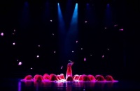 深圳文艺界再奏“春天的交响”