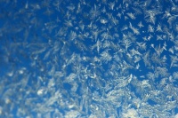 人到中年，心要狠