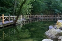 想开了，福气就来了（好文）