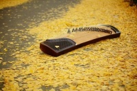 虽然大致了解古筝，但你知道它是怎样起源的吗？筑韵古筝告诉你