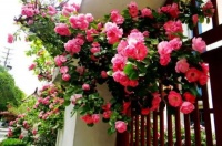 佛说：人生下来就是受苦的