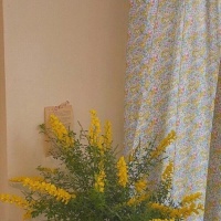 【原创】学会生活