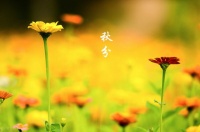 人生除了健康，什么都是浮云