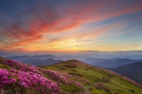 好命的人，都有这三个特征