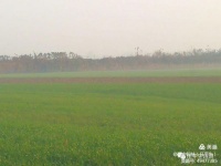 「专栏」任平生作品赏析：《我自逍遥长短亭》（仄起平收中华通韵）