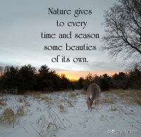 郭沫若一首诗入选高中语文课本，却打破了我对诗歌的所有美好想象