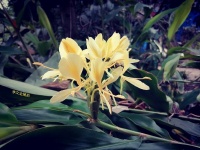 李文全随拍：心思单纯到透明，这是一缕花香的一生幸福