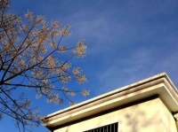 冬至升阳数九长，春声渐朗和琴扬（诗词四首）