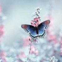 汽车伤感歌曲打包下载，情感歌曲打包下载，音乐包打包下载大全