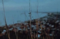 做人，人品最贵，良心最重