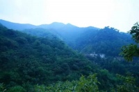 《花果峪》——寄故乡泰安市花果峪村