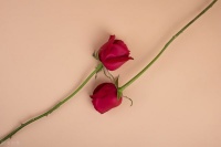 人啊，赚再多的钱又有何用呢？