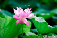 有一种女人，令人“万分着迷”，有可能是你