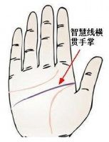 什么是智慧线？