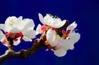 人生，除了坚强，你别无选择