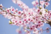 三年河东，三年河西，不要瞧不起人