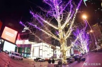 百余个奉天大鼓迎接新年