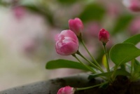 别让你的快乐贬值