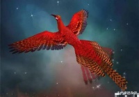 上古四大创世圣兽 保正你都没听过