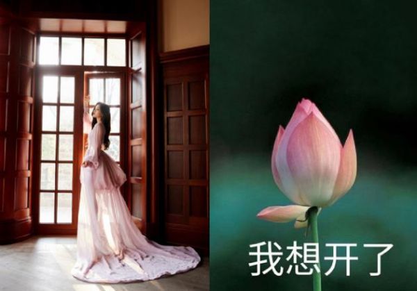 杨超越