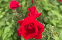 福气来临的3个征兆，能抓住的人，福气将不请自来！