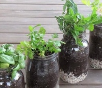 养花不想花钱买花盆该怎么办？3个妙招解决烦恼，既好看又省钱