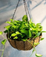 想养花没地方该怎么办？教你编个挂件垂吊，栽种几十盆都没问题