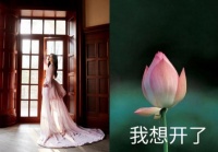 有想象力！杨超越绿洲调侃造型像“想开了”表情包