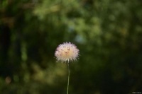 越是关键时刻，越要挺起胸膛