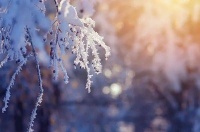 冬至成团夜，究竟谁能C位出道