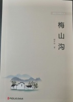胡中华：长篇小说《梅山沟》出版发行