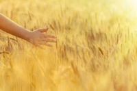 一个沉稳的人要做到：不动声色，不喜不怒，不争不抢