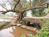 广东河源找到一“奇桥”，建造独特，高手在民间，在你家乡吗？