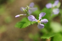 伴读 | 一个人的最好状态：空