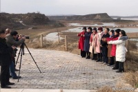 用天鹅的眼光发现文学湿地｜梅心【荐读】