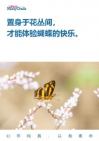 #一帮爸爸# #广东一帮爸爸# 蝴蝶的快乐