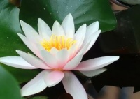 适合男人开车听的歌曲 适合开车听的歌曲 适合路上开车听的歌曲