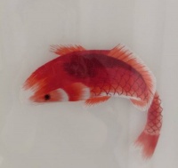 童心童言      小鱼思思