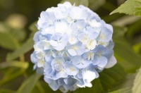 真正有福气的人，一般都有3个特征，有一个就福气满满