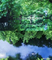 柳宗元《小石潭记》情景默写专练（含答案）