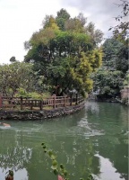 诗词与人生        李白眼中孟浩然的完美人生