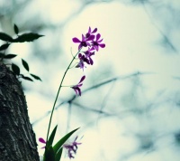 一个人读书和不读书的区别？